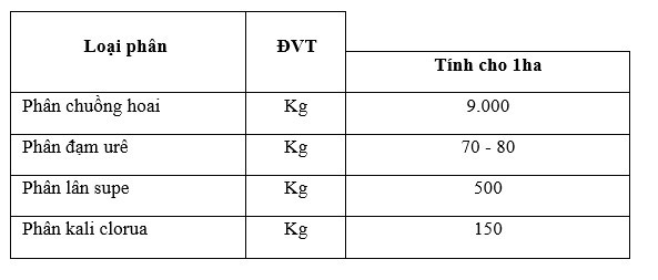 Lượng phân bón cho 1 ha đất trồng đậu đỏ