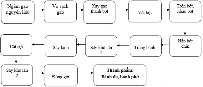 Quy trình sản xuất bánh đa bánh phở