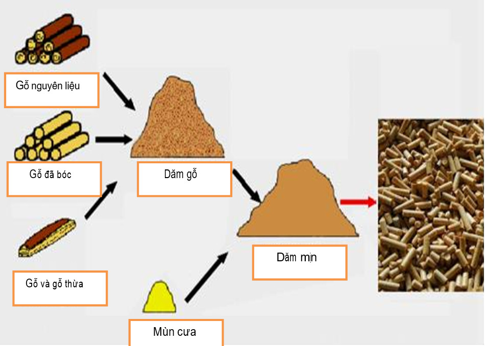 Quy trình sản xuất dự án viên nén gỗ